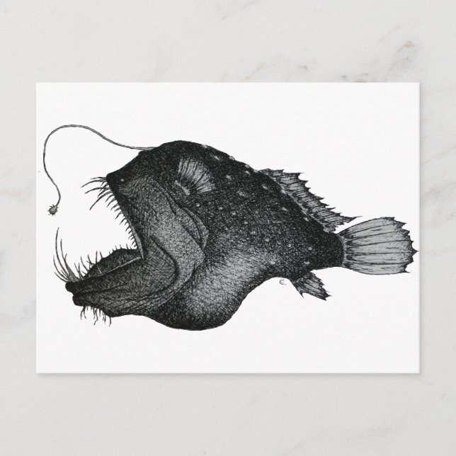 Anglerfish Vykort (Framsida)