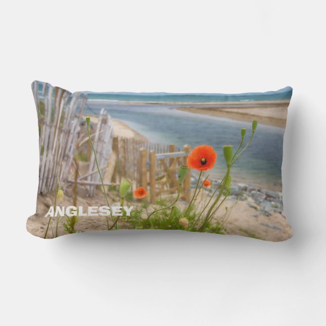 Anglesey sceniska Wales beskådar strand- och Lumbarkudde (Framsida)