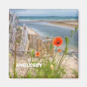 Anglesey sceniska Wales beskådar strand- och Magnet