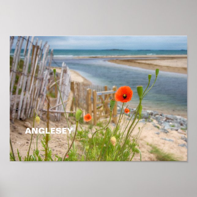 Anglesey Wales Scenia View Beach and Vild Poppies Poster (Framsidan)