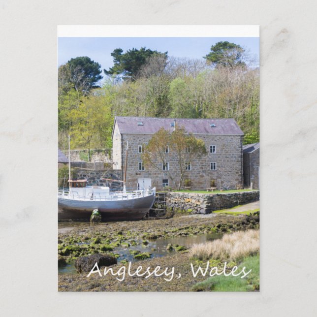 Anglesey, Wales Vykort (Framsida)