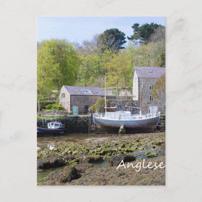 Anglesey, Wales Vykort (Framsida)