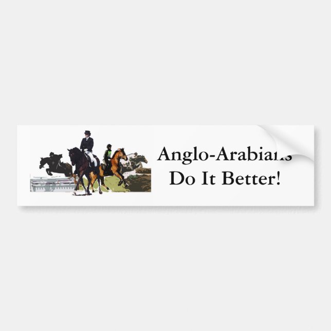 Anglo-Araber bildekal (Framsidan)