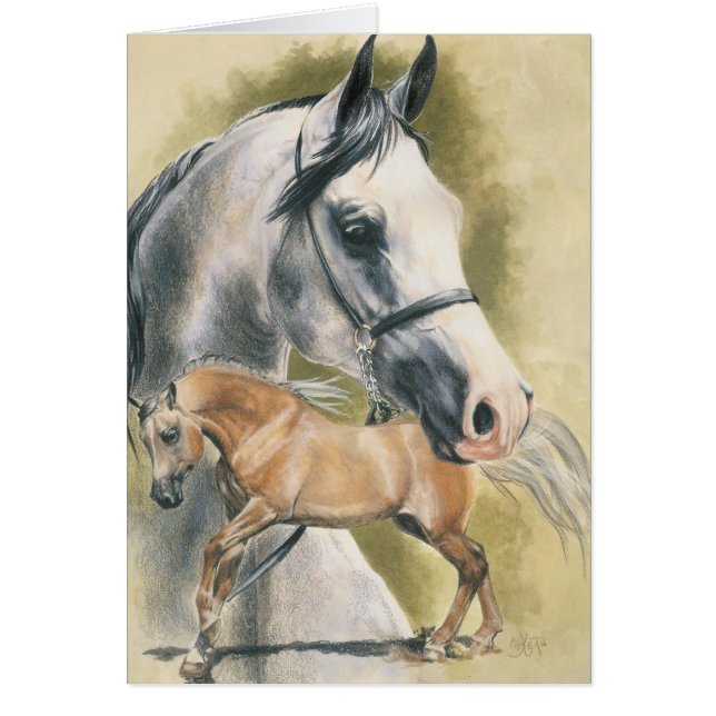 Anglo-Arabian OBS Kort (Framsidan)