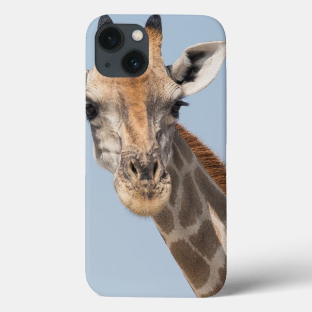 Angolanska Giraffe Porträtt (Baksida)