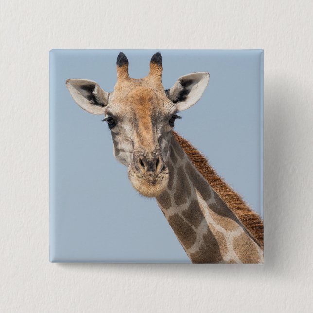 Angolanska Giraffe Porträtt Knapp (Framsida)