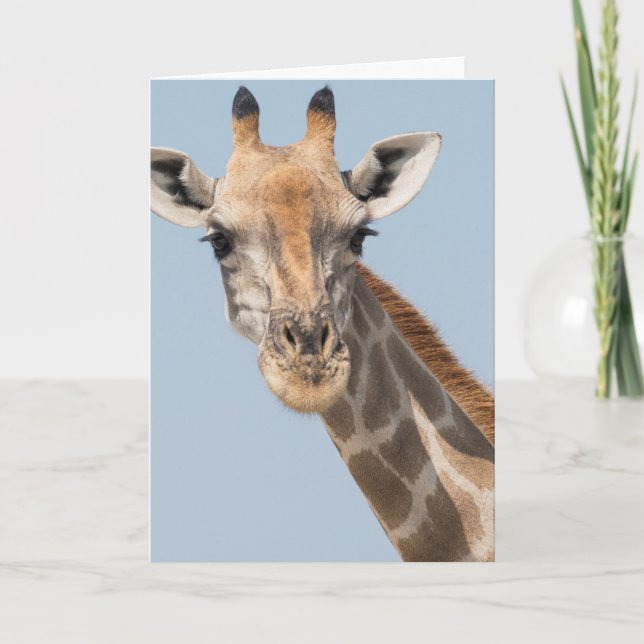 Angolanska Giraffe Porträtt Kort (Framsida)