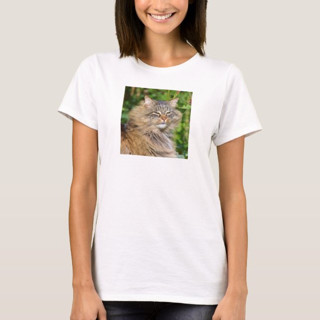 Angora cat t shirt (Framsida)