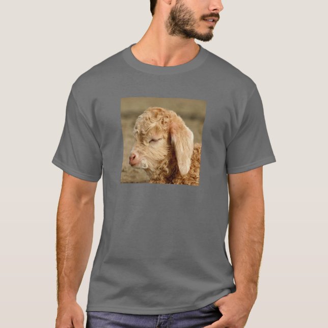 Angora Goat Kid - Vuxens Mörk T-shirt (Framsida)