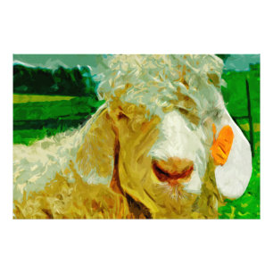 Angora Goat med Abstrakt i örat Märkre Fototryck
