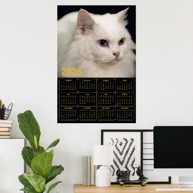 Angora Katt med Heterochromia – 2026 Kalender  Poster (Hemmakontoret)