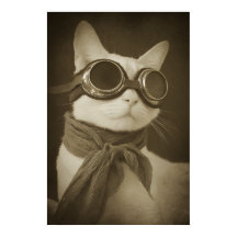 Ångpunktsflygande katt sepia porträtt