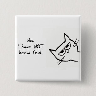 Angry Cat has NOT been fed! Knapp