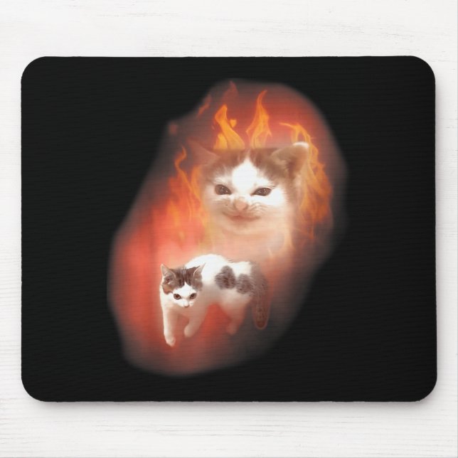 Angry Cat Meme Funny Silly Cat Kitten Lover Humor  Musmatta (Framsidan)