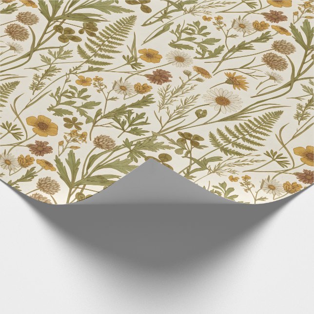Ängskärna Botaniska Illustrationer Blommor Gräs Presentpapper (Hörn)