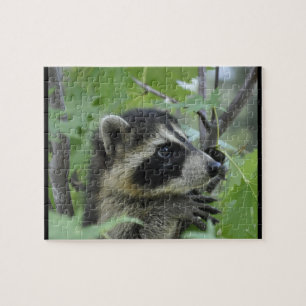 Ängslig Raccoon - pussel