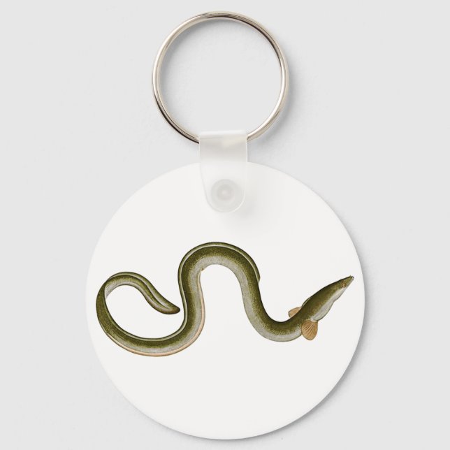 Anguilla anguilla nyckelring (Framsida)