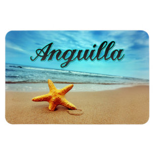 Anguilla stjärnfisk magnet