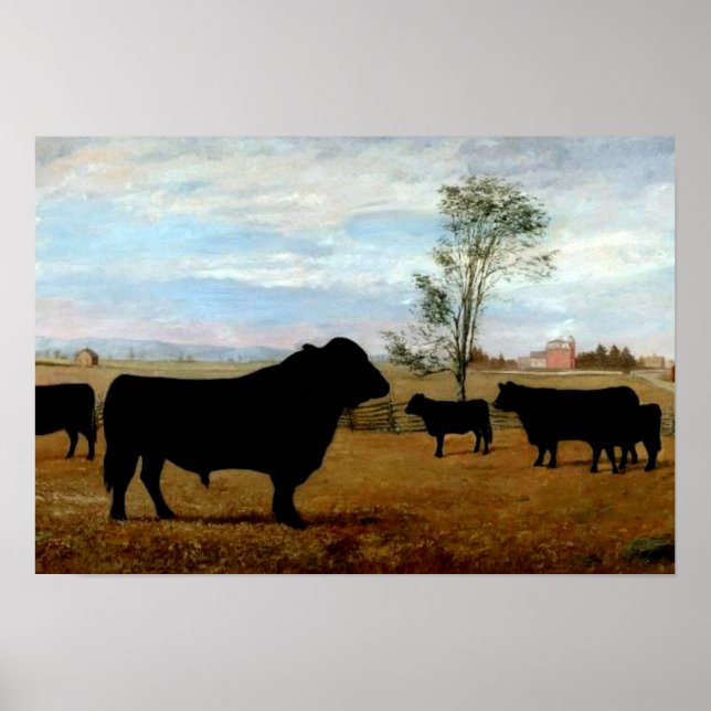 Angus cattle on the farm poster (Framsidan)