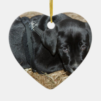 Angus Julgransprydnad Keramik