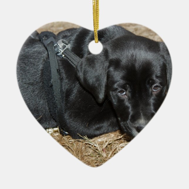 Angus Julgransprydnad Keramik (Framsidan)