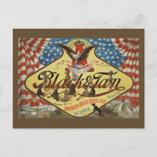 ANHEUSER-BUSH Black & Tan Vykort