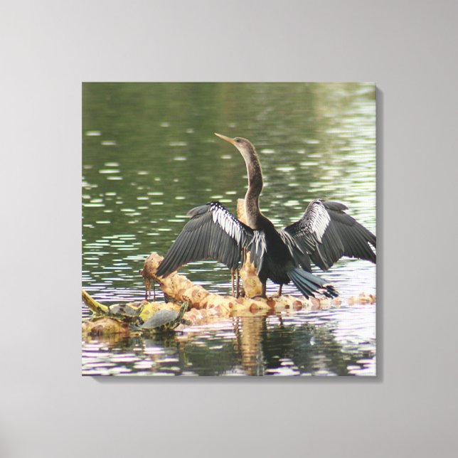Anhinga Bird Kanvastryck (Framsida)
