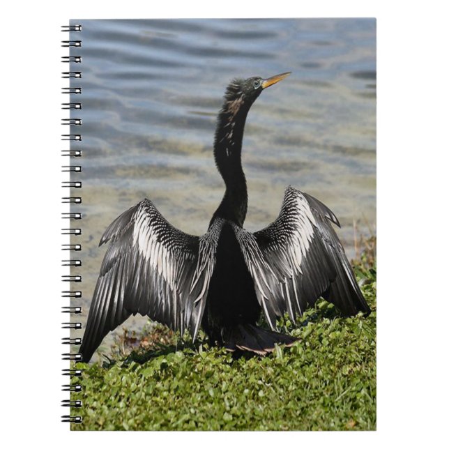 Anhinga Bird Notebook Anteckningsbok Med Spiral (Framsidan)