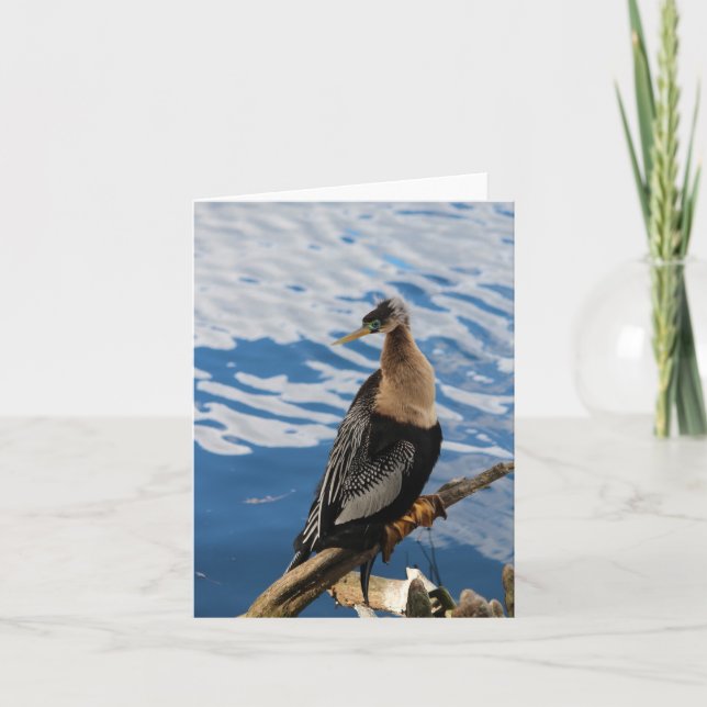 Anhinga Bird Photo Blank Note Card Anteckningskort (Framsida)