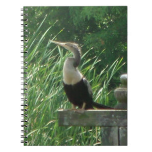 Anhinga Bird Spiral fotoportbok Anteckningsbok