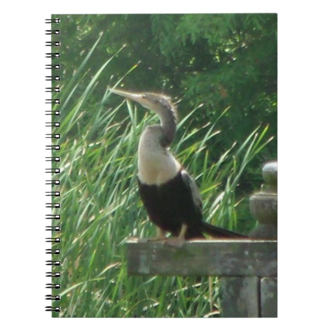 Anhinga Bird Spiral fotoportbok Anteckningsbok (Framsidan)