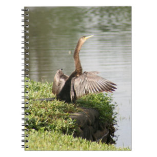 Anhinga Bird Spiral fotoportbok Anteckningsbok Med Spiral