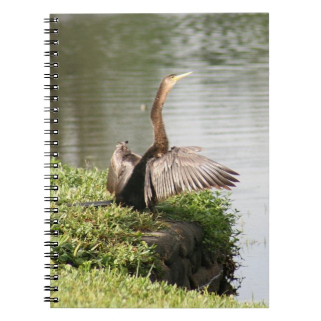 Anhinga Bird Spiral fotoportbok Anteckningsbok Med Spiral (Framsidan)