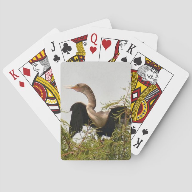 Anhinga Bird Standard-uppspelningskort Spel Kort (Baksidan)