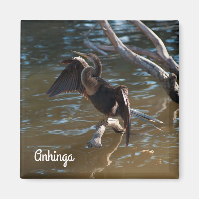 Anhinga Magnet (Framsidan)