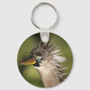 Anhinga Nyckelring
