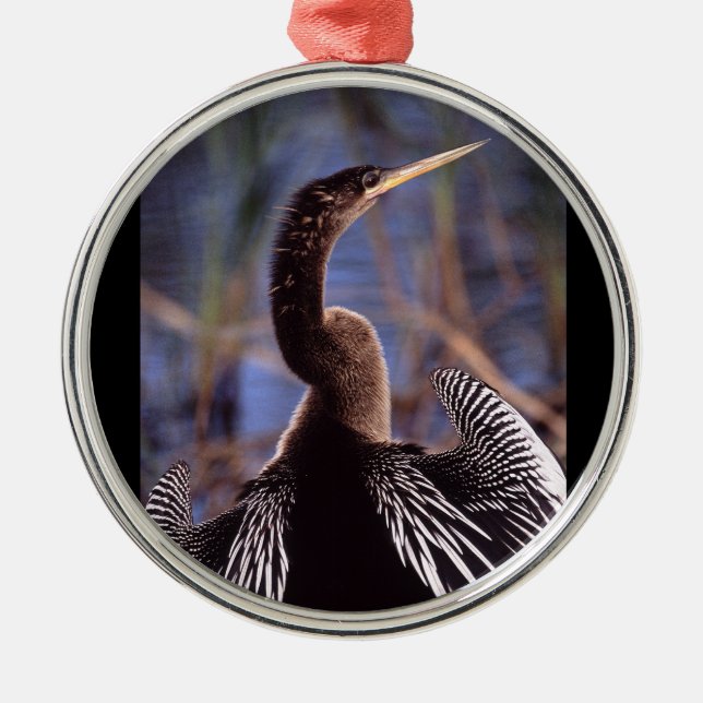 anhinga och vingar julgransprydnad metall (Framsidan)