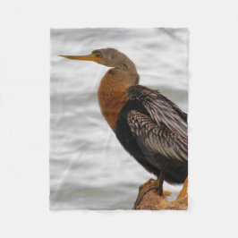 Anhinga på utkik fleecefilt