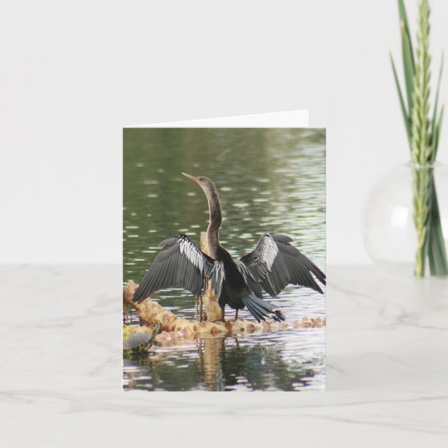 Anhinga Photo-mappat anteckningskort (Framsida)
