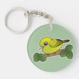 Anianiau Hawaii Forest Bird