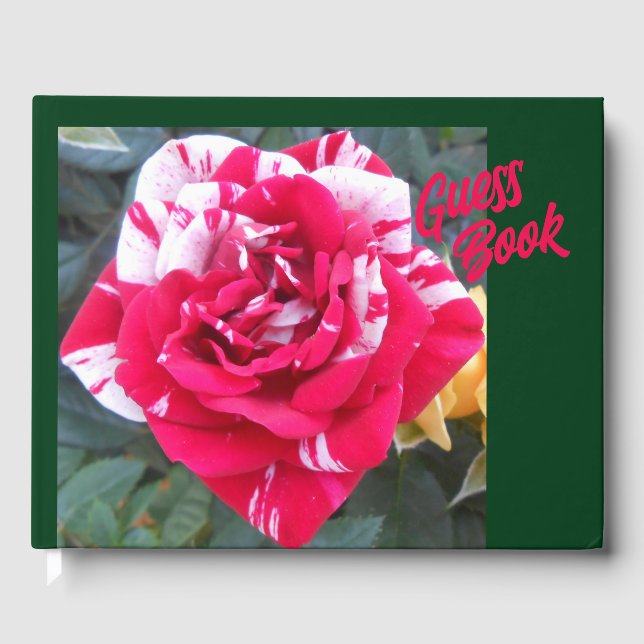 Anicia Gästböcker (Framsida)