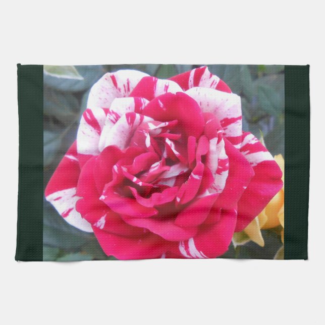 Anicia Kökshandduk (Horisontell)