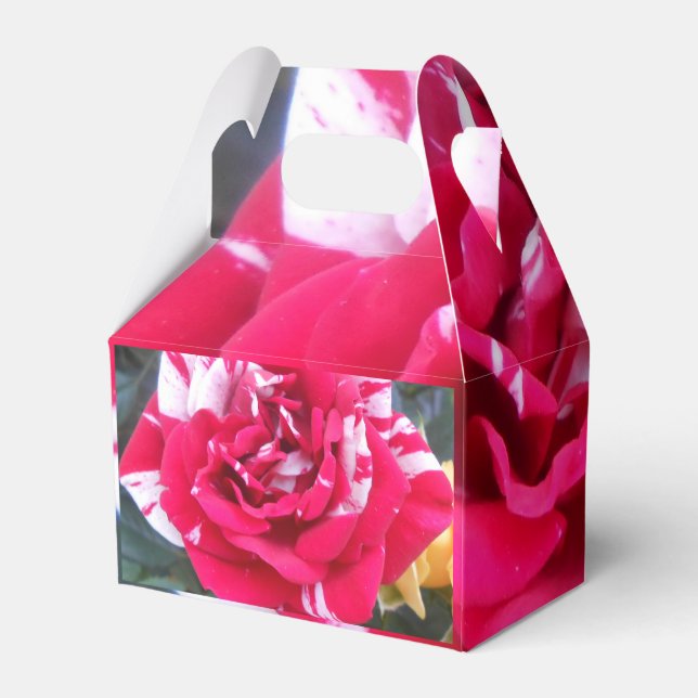 Anicia Presentaskar (Baksidan Sidan)