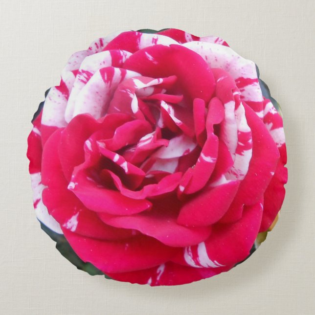 Anicia Rund Kudde (Framsidan)