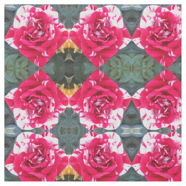 Anicia Tyg (Närbild)