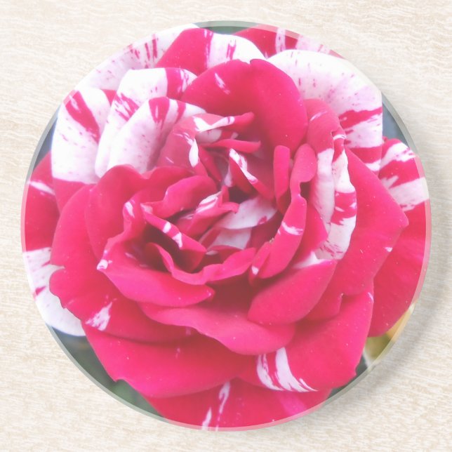 Anicia Underlägg Sandsten (Framsidan)