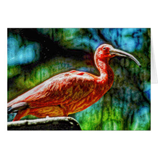 Animal04 Hälsningskort