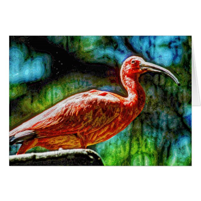 Animal04 Hälsningskort (Framsidan Horizontal)