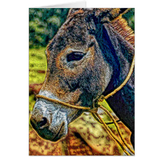 Animal19 Hälsningskort