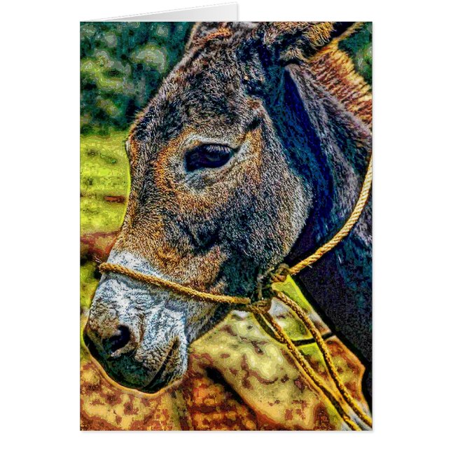 Animal19 Hälsningskort (Framsidan)